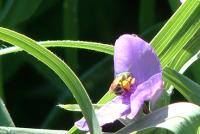 View photo in a new window