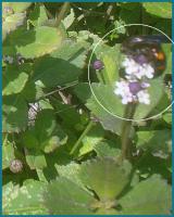 View photo in a new window