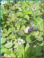 View photo in a new window