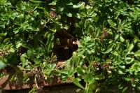 View photo in a new window