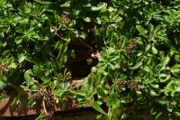 View photo in a new window