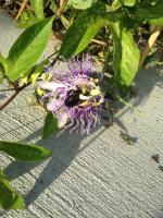 View photo in a new window