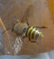 View photo in a new window