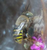 View photo in a new window