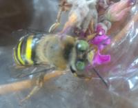 View photo in a new window