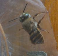 View photo in a new window