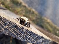 View photo in a new window