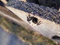 View photo in a new window