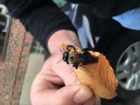 View photo in a new window