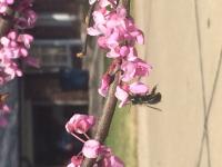 View photo in a new window