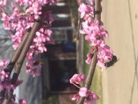 View photo in a new window