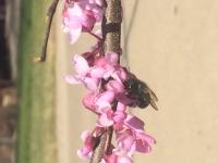 View photo in a new window