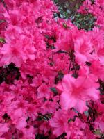 View photo in a new window