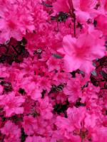 View photo in a new window