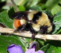 View photo in a new window