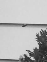 View photo in a new window