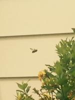 View photo in a new window