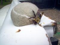 View photo in a new window