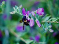 View photo in a new window