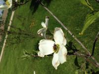 View photo in a new window