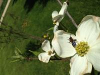 View photo in a new window