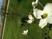 View photo in a new window