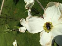 View photo in a new window