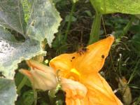 View photo in a new window