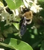 View photo in a new window