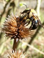 View photo in a new window