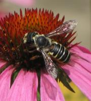 View photo in a new window