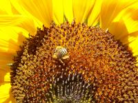 View photo in a new window