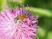 View photo in a new window