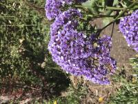 View photo in a new window