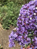 View photo in a new window