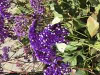 View photo in a new window