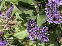 View photo in a new window