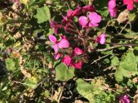 View photo in a new window