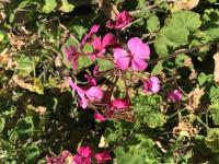 View photo in a new window