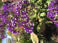 View photo in a new window