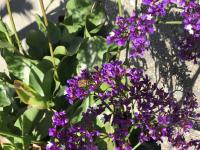 View photo in a new window