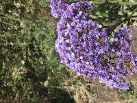 View photo in a new window