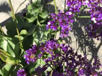 View photo in a new window