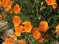 View photo in a new window