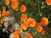 View photo in a new window