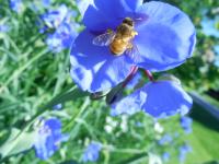 View photo in a new window