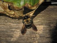 View photo in a new window