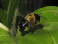 View photo in a new window