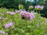 View photo in a new window