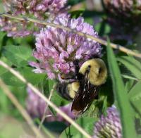 View photo in a new window